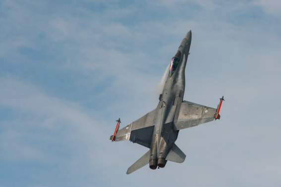 S3007C   Lars Hjortoe   Jagerfly